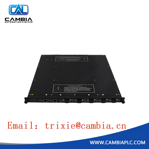 ICS TRIPLEX High quality T8461 Module